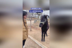 小姐姐刨土,一场与自然的亲密接触